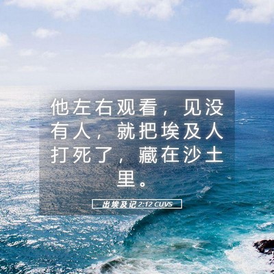Picture 05 - 出 埃 及 记 2:12 CUVS - 他 左 右 观 看 ， 见 没 有 人 ， 就 - Bible Verse Picture