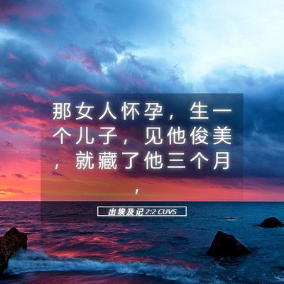 Picture 05 - 出 埃 及 记 2:2 CUVS - 那 女 人 怀 孕 ， 生 一 个 儿 子 ， - Bible Verse Picture
