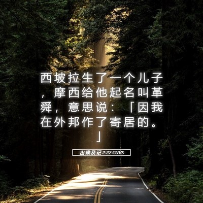 Picture 05 - 出 埃 及 记 2:22 CUVS - 西 坡 拉 生 了 一 个 儿 子 ， 摩 西 - Bible Verse Picture