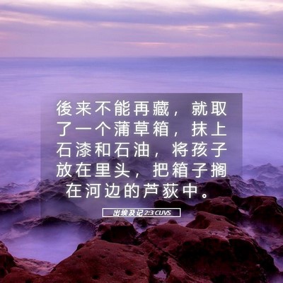 Picture 05 - 出 埃 及 记 2:3 CUVS - 後 来 不 能 再 藏 ， 就 取 了 一 个 - Bible Verse Picture