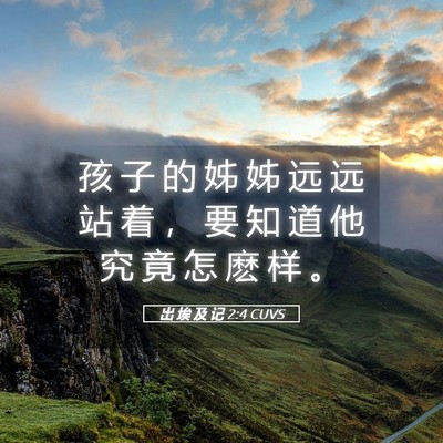Picture 05 - 出 埃 及 记 2:4 CUVS - 孩 子 的 姊 姊 远 远 站 着 ， 要 知 - Bible Verse Picture