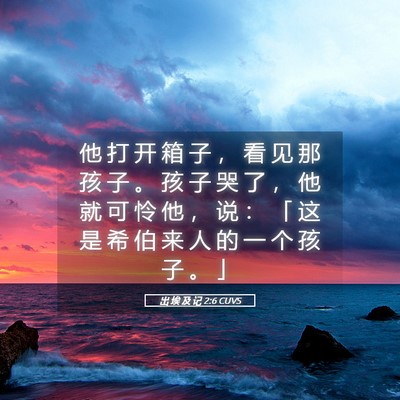 Picture 05 - 出 埃 及 记 2:6 CUVS - 他 打 开 箱 子 ， 看 见 那 孩 子 。 - Bible Verse Picture