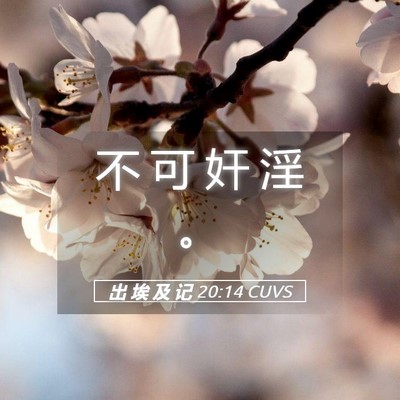 Picture 05 - 出 埃 及 记 20:14 CUVS - 不 可 奸 淫 - Bible Verse Picture