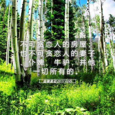 Picture 05 - 出 埃 及 记 20:17 CUVS - 不 可 贪 恋 人 的 房 屋 ； 也 不 可 - Bible Verse Picture