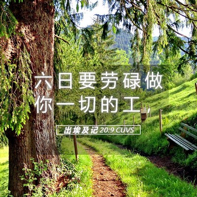 Picture 05 - 出 埃 及 记 20:9 CUVS - 六 日 要 劳 碌 做 你 一 切 的 工 - Bible Verse Picture