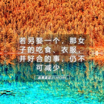 Picture 05 - 出 埃 及 记 21:10 CUVS - 若 另 娶 一 个 ， 那 女 子 的 吃 食 - Bible Verse Picture