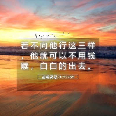 Picture 05 - 出 埃 及 记 21:11 CUVS - 若 不 向 他 行 这 三 样 ， 他 就 可 - Bible Verse Picture