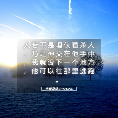 Picture 05 - 出 埃 及 记 21:13 CUVS - 人 若 不 是 埋 伏 着 杀 人 ， 乃 是 - Bible Verse Picture