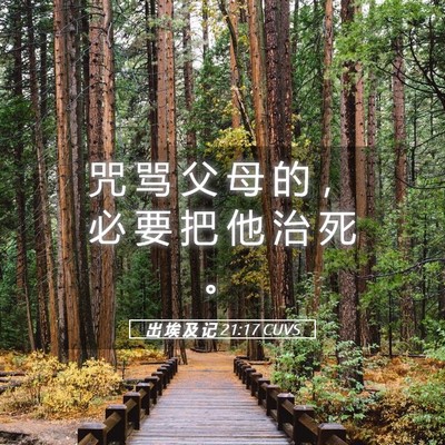 Picture 05 - 出 埃 及 记 21:17 CUVS - 咒 骂 父 母 的 ， 必 要 把 他 治 死 - Bible Verse Picture