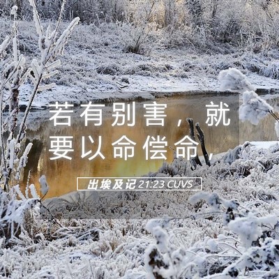 Picture 05 - 出 埃 及 记 21:23 CUVS - 若 有 别 害 ， 就 要 以 命 偿 命 - Bible Verse Picture