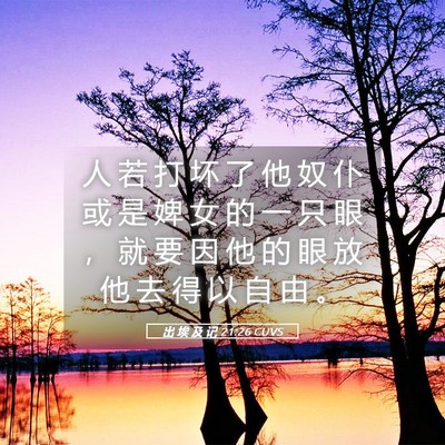 Picture 05 - 出 埃 及 记 21:26 CUVS - 人 若 打 坏 了 他 奴 仆 或 是 婢 女 - Bible Verse Picture