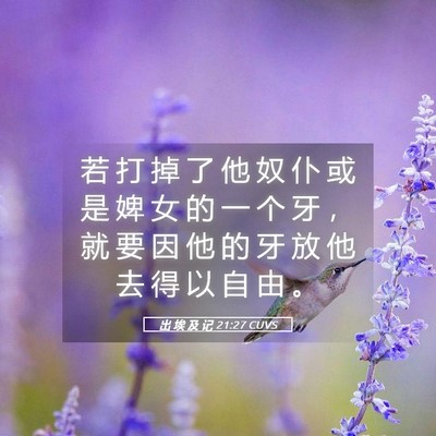 Picture 05 - 出 埃 及 记 21:27 CUVS - 若 打 掉 了 他 奴 仆 或 是 婢 女 的 - Bible Verse Picture