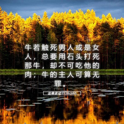 Picture 05 - 出 埃 及 记 21:28 CUVS - 牛 若 触 死 男 人 或 是 女 人 ， 总 - Bible Verse Picture