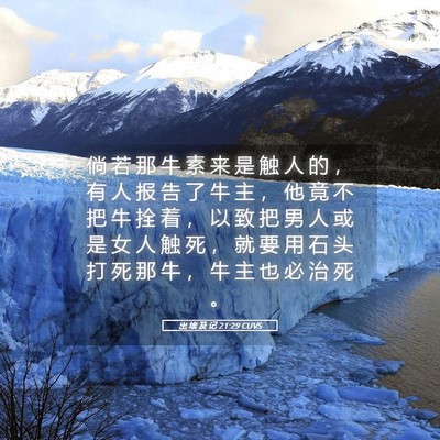 Picture 05 - 出 埃 及 记 21:29 CUVS - 倘 若 那 牛 素 来 是 触 人 的 ， 有 - Bible Verse Picture