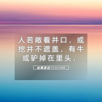 Picture 05 - 出 埃 及 记 21:33 CUVS - 人 若 敞 着 井 口 ， 或 挖 井 不 遮 - Bible Verse Picture