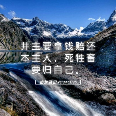 Picture 05 - 出 埃 及 记 21:34 CUVS - 井 主 要 拿 钱 赔 还 本 主 人 ， 死 - Bible Verse Picture