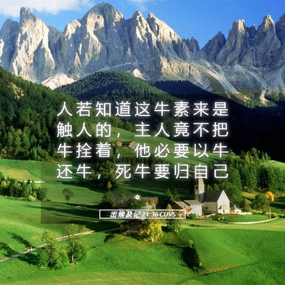 Picture 05 - 出 埃 及 记 21:36 CUVS - 人 若 知 道 这 牛 素 来 是 触 人 的 - Bible Verse Picture