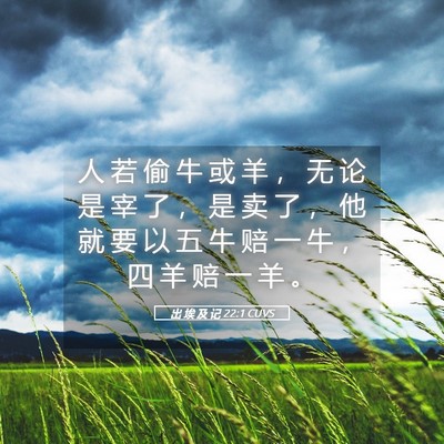 Picture 05 - 出 埃 及 记 22:1 CUVS - 人 若 偷 牛 或 羊 ， 无 论 是 宰 了 - Bible Verse Picture