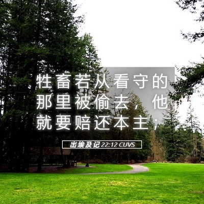 Picture 05 - 出 埃 及 记 22:12 CUVS - 牲 畜 若 从 看 守 的 那 里 被 偷 去 - Bible Verse Picture