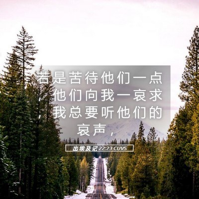 Picture 05 - 出 埃 及 记 22:23 CUVS - 若 是 苦 待 他 们 一 点 ， 他 们 向 - Bible Verse Picture