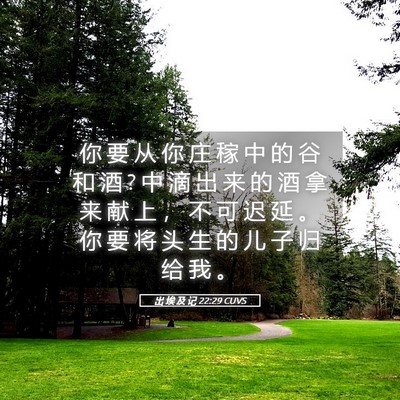 Picture 05 - 出 埃 及 记 22:29 CUVS - 你 要 从 你 庄 稼 中 的 谷 和 酒 ? 中 - Bible Verse Picture