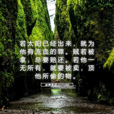 Picture 05 - 出 埃 及 记 22:3 CUVS - 若 太 阳 已 经 出 来 ， 就 为 他 有 - Bible Verse Picture