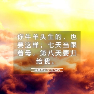 Picture 05 - 出 埃 及 记 22:30 CUVS - 你 牛 羊 头 生 的 ， 也 要 这 样 ； - Bible Verse Picture