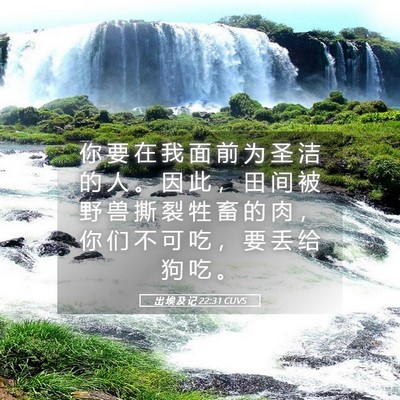 Picture 05 - 出 埃 及 记 22:31 CUVS - 你 要 在 我 面 前 为 圣 洁 的 人 。 - Bible Verse Picture