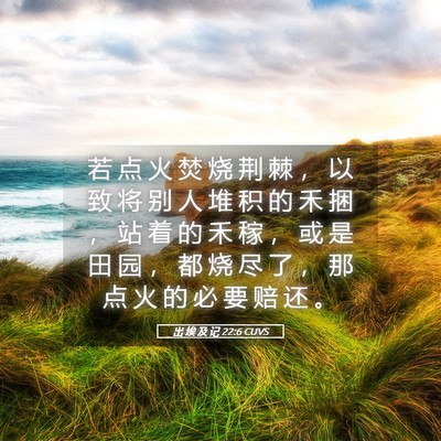 Picture 05 - 出 埃 及 记 22:6 CUVS - 若 点 火 焚 烧 荆 棘 ， 以 致 将 别 - Bible Verse Picture