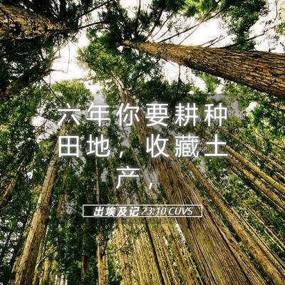 Picture 05 - 出 埃 及 记 23:10 CUVS - 六 年 你 要 耕 种 田 地 ， 收 藏 土 - Bible Verse Picture