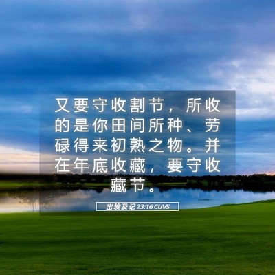 Picture 05 - 出 埃 及 记 23:16 CUVS - 又 要 守 收 割 节 ， 所 收 的 是 你 - Bible Verse Picture