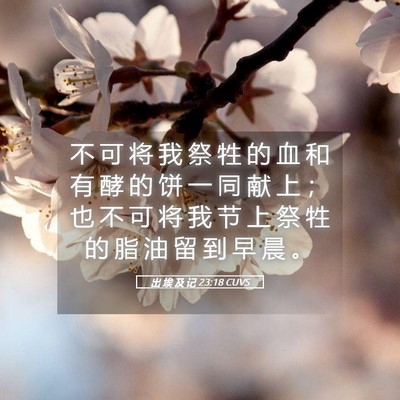Picture 05 - 出 埃 及 记 23:18 CUVS - 不 可 将 我 祭 牲 的 血 和 有 酵 的 - Bible Verse Picture