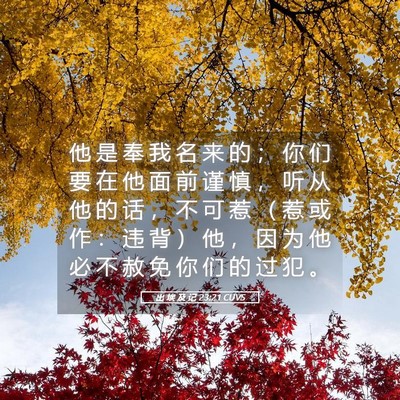 Picture 05 - 出 埃 及 记 23:21 CUVS - 他 是 奉 我 名 来 的 ； 你 们 要 在 - Bible Verse Picture
