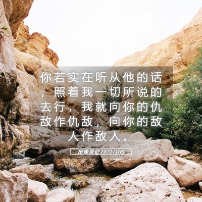 Picture 05 - 出 埃 及 记 23:22 CUVS - 你 若 实 在 听 从 他 的 话 ， 照 着 - Bible Verse Picture