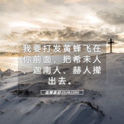 Picture 05 - 出 埃 及 记 23:28 CUVS - 我 要 打 发 黄 蜂 飞 在 你 前 面 ， - Bible Verse Picture