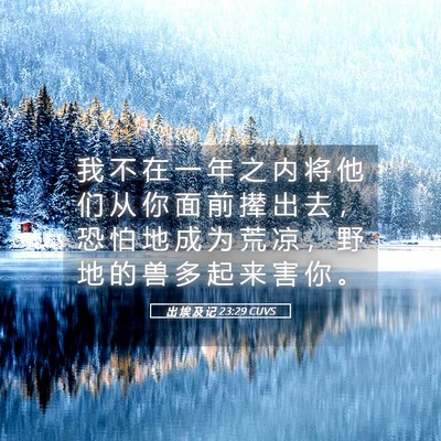 Picture 05 - 出 埃 及 记 23:29 CUVS - 我 不 在 一 年 之 内 将 他 们 从 你 - Bible Verse Picture