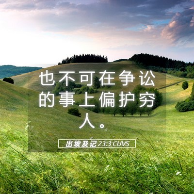 Picture 05 - 出 埃 及 记 23:3 CUVS - 也 不 可 在 争 讼 的 事 上 偏 护 穷 - Bible Verse Picture