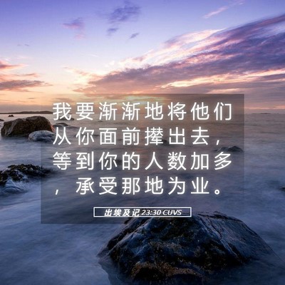 Picture 05 - 出 埃 及 记 23:30 CUVS - 我 要 渐 渐 地 将 他 们 从 你 面 前 - Bible Verse Picture