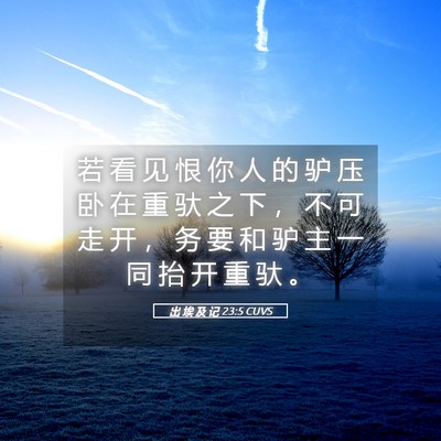 Picture 05 - 出 埃 及 记 23:5 CUVS - 若 看 见 恨 你 人 的 驴 压 卧 在 重 - Bible Verse Picture