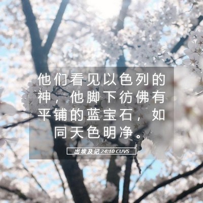 Picture 05 - 出 埃 及 记 24:10 CUVS - 他 们 看 见 以 色 列 的 神 ， 他 脚 - Bible Verse Picture