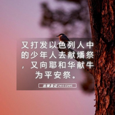 Picture 05 - 出 埃 及 记 24:5 CUVS - 又 打 发 以 色 列 人 中 的 少 年 人 - Bible Verse Picture
