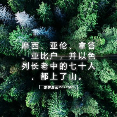 Picture 05 - 出 埃 及 记 24:9 CUVS - 摩 西 、 亚 伦 、 拿 答 、 亚 比 户 - Bible Verse Picture