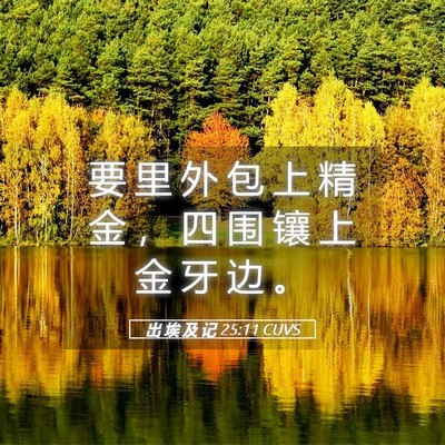 Picture 05 - 出 埃 及 记 25:11 CUVS - 要 里 外 包 上 精 金 ， 四 围 镶 上 - Bible Verse Picture