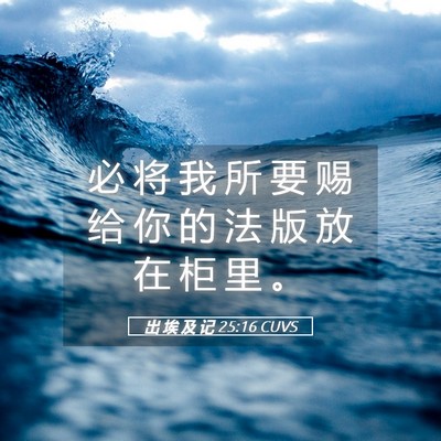 Picture 05 - 出 埃 及 记 25:16 CUVS - 必 将 我 所 要 赐 给 你 的 法 版 放 - Bible Verse Picture