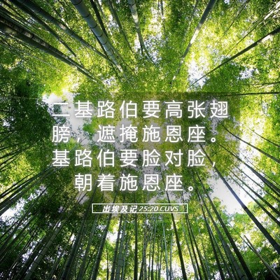 Picture 05 - 出 埃 及 记 25:20 CUVS - 二 基 路 伯 要 高 张 翅 膀 ， 遮 掩 - Bible Verse Picture