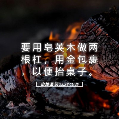 Picture 05 - 出 埃 及 记 25:28 CUVS - 要 用 皂 荚 木 做 两 根 杠 ， 用 金 - Bible Verse Picture