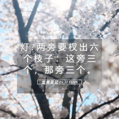 Picture 05 - 出 埃 及 记 25:32 CUVS - 灯 ? 两 旁 要 杈 出 六 个 枝 子 ： 这 - Bible Verse Picture