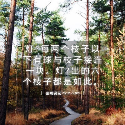 Picture 05 - 出 埃 及 记 25:35 CUVS - 灯 ? 每 两 个 枝 子 以 下 有 球 与 枝 - Bible Verse Picture