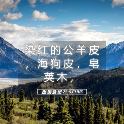 Picture 05 - 出 埃 及 记 25:5 CUVS - 染 红 的 公 羊 皮 ， 海 狗 皮 ， 皂 - Bible Verse Picture