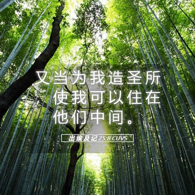Picture 05 - 出 埃 及 记 25:8 CUVS - 又 当 为 我 造 圣 所 ， 使 我 可 以 - Bible Verse Picture